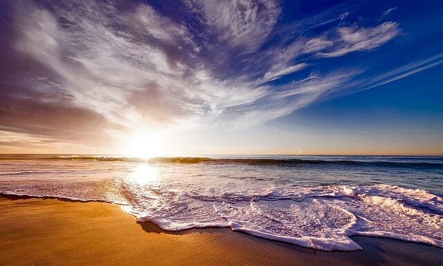 Jaki piasek dla krewetek?