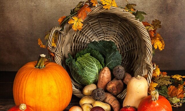 Jaka jest najlepsza dynia na zupę?