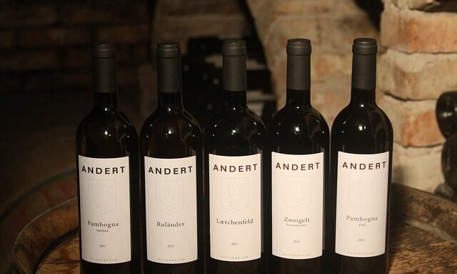 Jak pokazać kotu Kto tu rządzi?