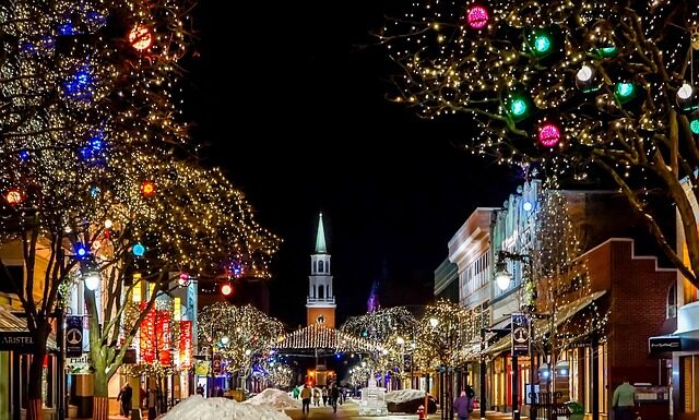 Ile trwa okres buntu u psa?