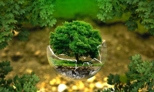 Ile dipów to dobry wynik?