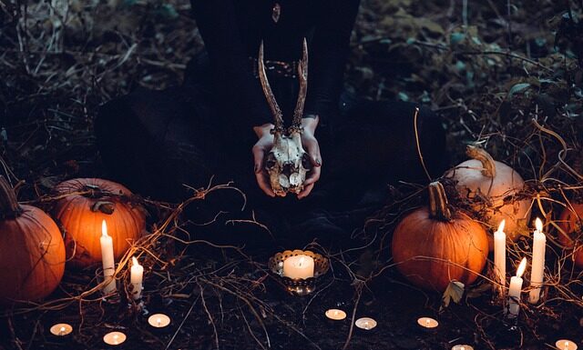 Które dynię są niejadalne?