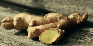 Czy korzeń w akwarium może zmieniać pH?