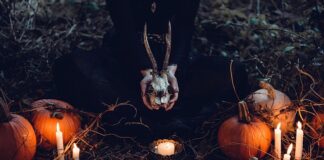 Czy dynię trzeba obierać ze skóry?