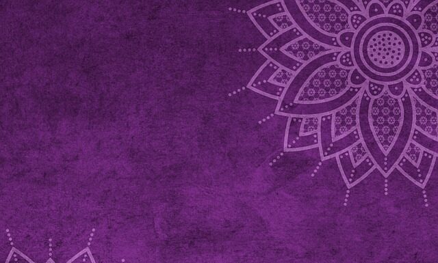 Czy można dostać mandat za karmienie gołębi?