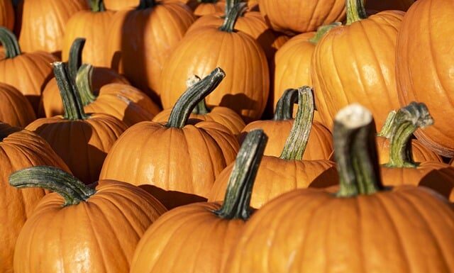 Której dyni nie trzeba obierać?