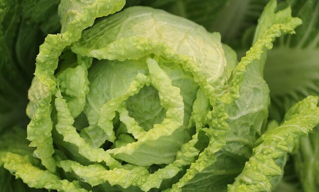 Jak przygotować surówkę z mix sałat?