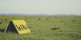 Jak przygotować koszulkę do malowania?