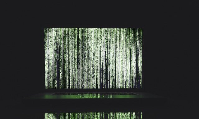 Czy neonki zjedzą małe krewetki?